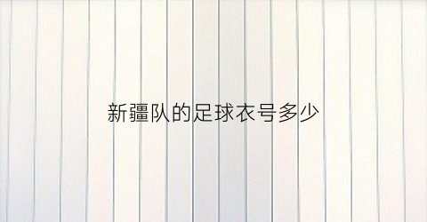 新疆队的足球衣号多少(新疆足球队叫什么)