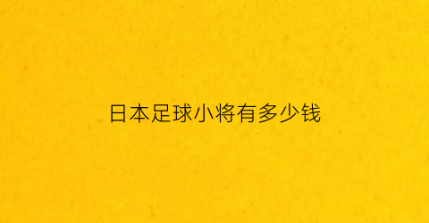 日本足球小将有多少钱(足球小将日本国家队首发11人)