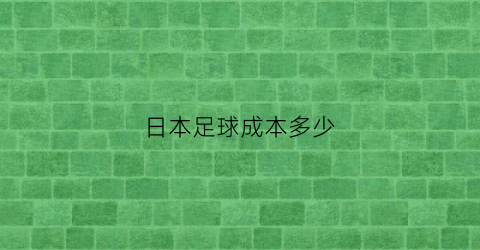 日本足球成本多少(日本足球投入资金)