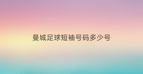 曼城足球短袖号码多少号(曼城球衣号码及球员)