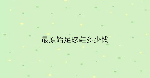 最原始足球鞋多少钱(原始足球是什么样子)