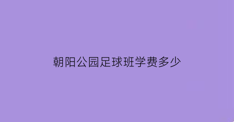 朝阳公园足球班学费多少(朝阳公园足球包场)