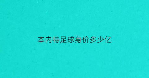 本内特足球身价多少亿(本内特什么水平)