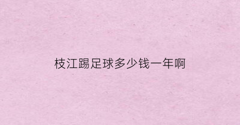 枝江踢足球多少钱一年啊(踢足球一年需要花多少钱)