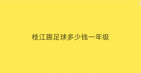 枝江踢足球多少钱一年级(小学生踢一场足球要多少人)