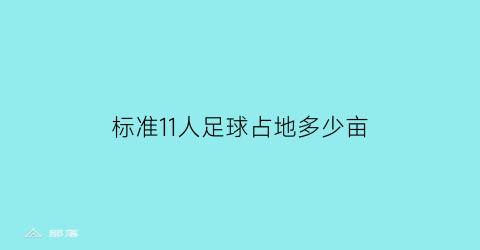 标准11人足球占地多少亩(11人的足球场标准面积是几平方米)