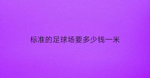 标准的足球场要多少钱一米