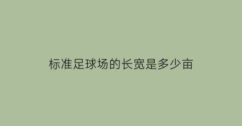 标准足球场的长宽是多少亩(标准足球场长宽)