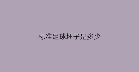 标准足球坯子是多少