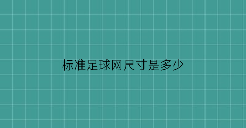 标准足球网尺寸是多少(标准足球网尺寸是多少的)