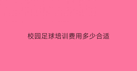 校园足球培训费用多少合适(暑假足球培训班多少钱)