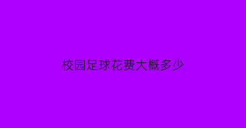 校园足球花费大概多少(国家规定学校足球收费情况)