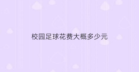 校园足球花费大概多少元(校园足球花费大概多少元一个)