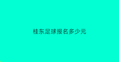 桂东足球报名多少元(桂林哪里有学足球的)