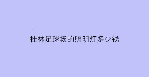 桂林足球场的照明灯多少钱