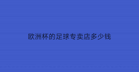 欧洲杯的足球专卖店多少钱(欧洲杯球哪里买)