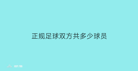 正规足球双方共多少球员