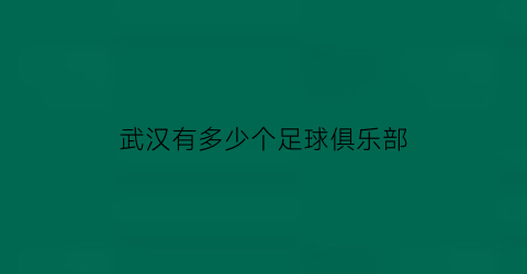 武汉有多少个足球俱乐部(武汉足球俱乐部有限公司)