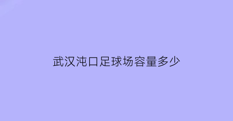 武汉沌口足球场容量多少(武汉沌口足球场容量多少平方公里)