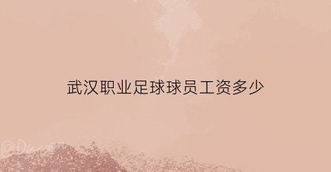 武汉职业足球球员工资多少(武汉职业足球球员工资多少钱一个月)