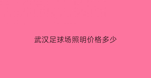 武汉足球场照明价格多少(武汉足球场地场馆)