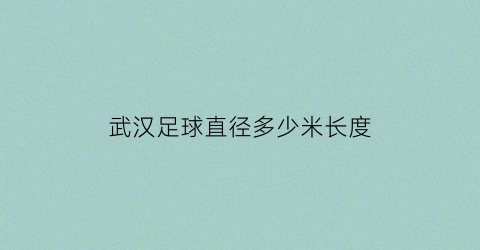 武汉足球直径多少米长度(武汉足球主题公园地址)