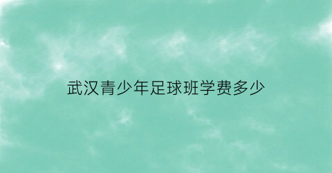 武汉青少年足球班学费多少(武汉青少年足球俱乐部招生)