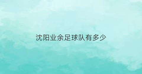 沈阳业余足球队有多少(沈阳足球俱乐部有哪些)