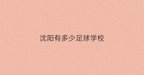 沈阳有多少足球学校(沈阳有哪些足球学校)