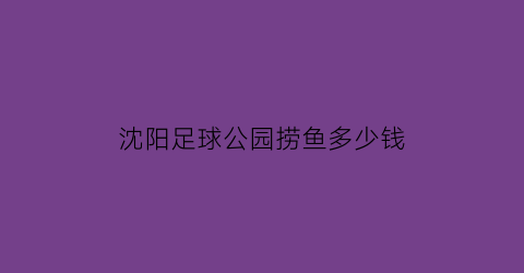 沈阳足球公园捞鱼多少钱