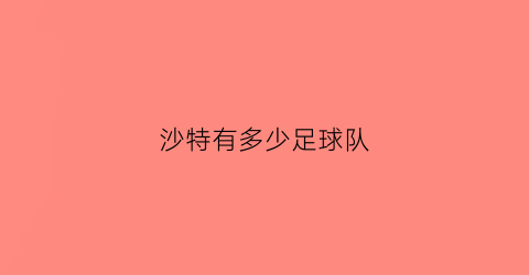 沙特有多少足球队