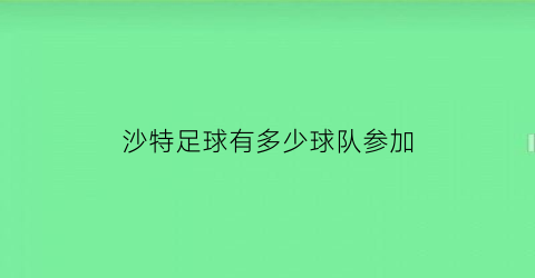 沙特足球有多少球队参加(沙特足球队名单)