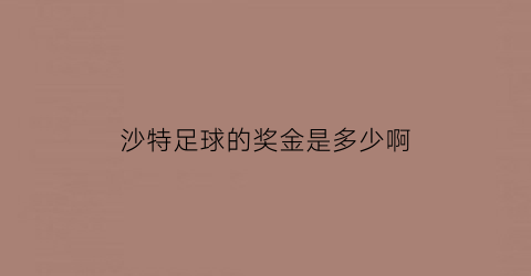 沙特足球的奖金是多少啊(沙特足球的奖金是多少啊现在)