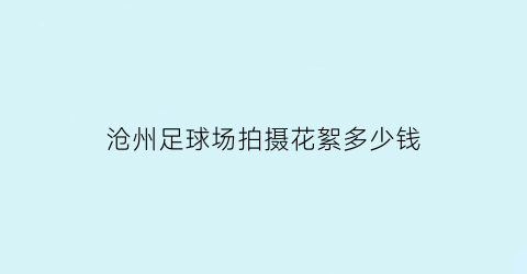 沧州足球场拍摄花絮多少钱(足球赛花絮)