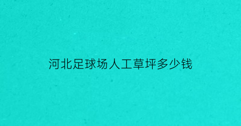 河北足球场人工草坪多少钱(一个人工草坪足球场造价有多少钱)