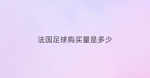 法国足球购买量是多少(法国足球购买量是多少啊)