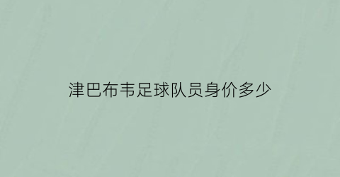 津巴布韦足球队员身价多少(津巴布韦足球队员身价多少万)