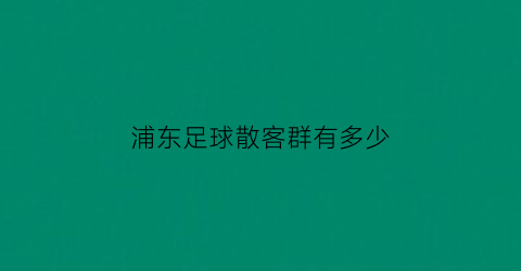 浦东足球散客群有多少