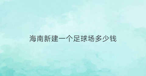 海南新建一个足球场多少钱(建一个足球场地需要多少钱)