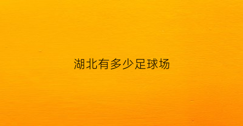 湖北有多少足球场(湖北足球名宿)