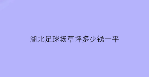 湖北足球场草坪多少钱一平(足球草坪一平米多少钱)