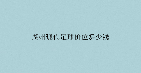 湖州现代足球价位多少钱(湖州现代足球价位多少钱一个)