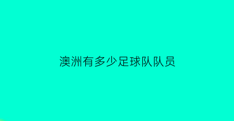 澳洲有多少足球队队员