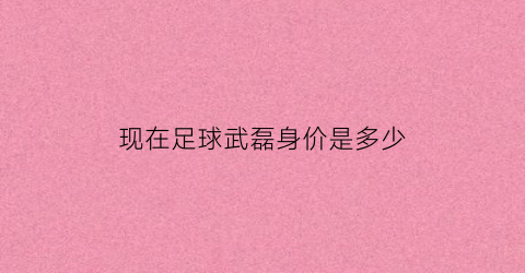 现在足球武磊身价是多少(现在足球武磊身价是多少亿)