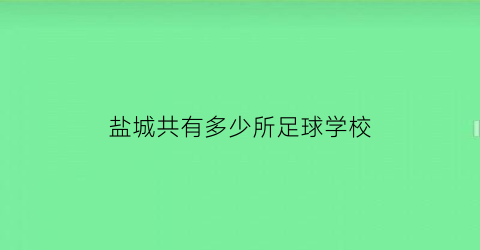 盐城共有多少所足球学校