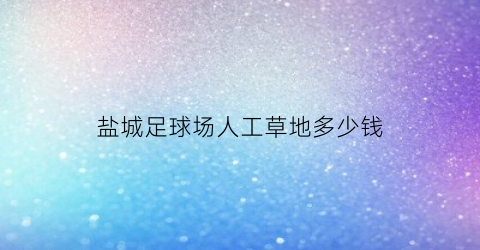 盐城足球场人工草地多少钱(一个人工草坪足球场造价有多少钱)