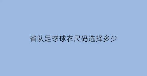 省队足球球衣尺码选择多少