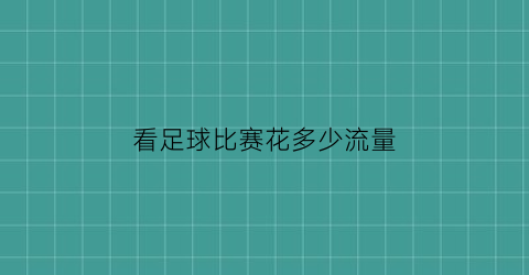 看足球比赛花多少流量