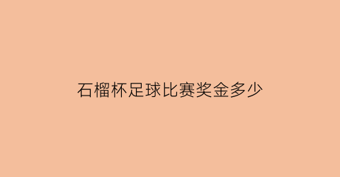 石榴杯足球比赛奖金多少