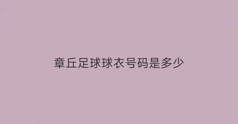 章丘足球球衣号码是多少(章丘足球场)